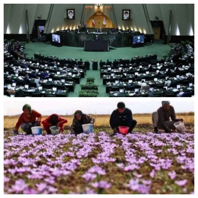 پیش بینی کاهش تولید زعفران ایران، باعث افزایش تقاضای مشتریان خارجی این محصول شده است