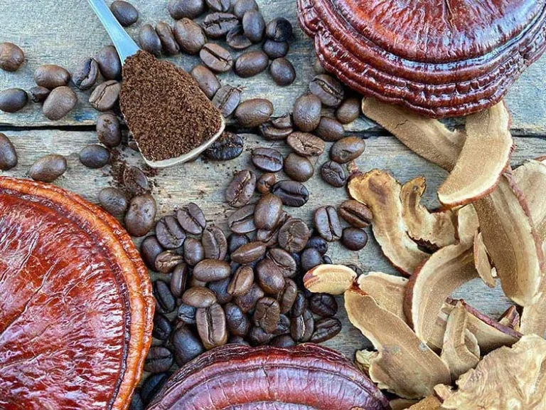 چند نوع قهوه گانودرما داریم