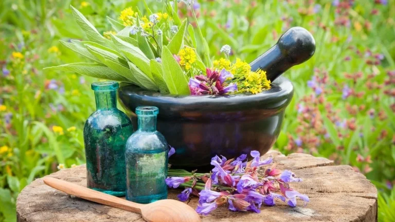 بررسی خواص گیاهان دارویی در درمان بیماری ها