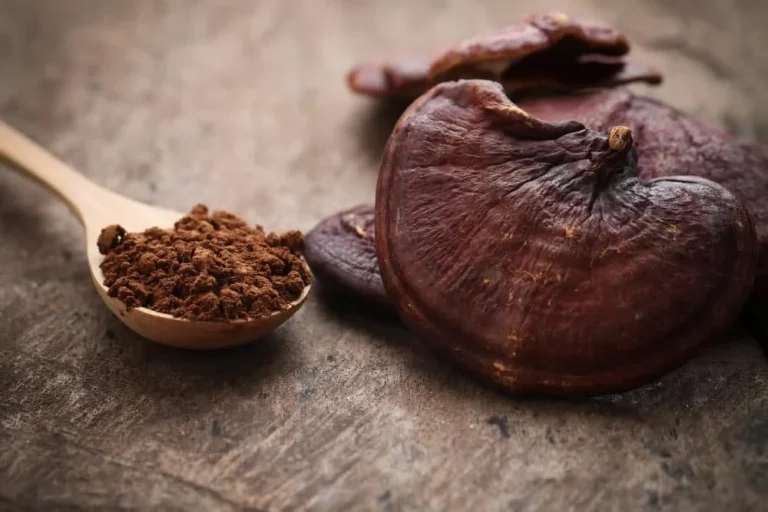 بهترین روش مصرف قارچ گانودرما