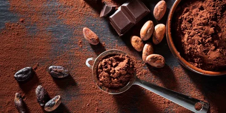 تفاوت شکلات با کاکائو و پودر کاکائو چیست؟