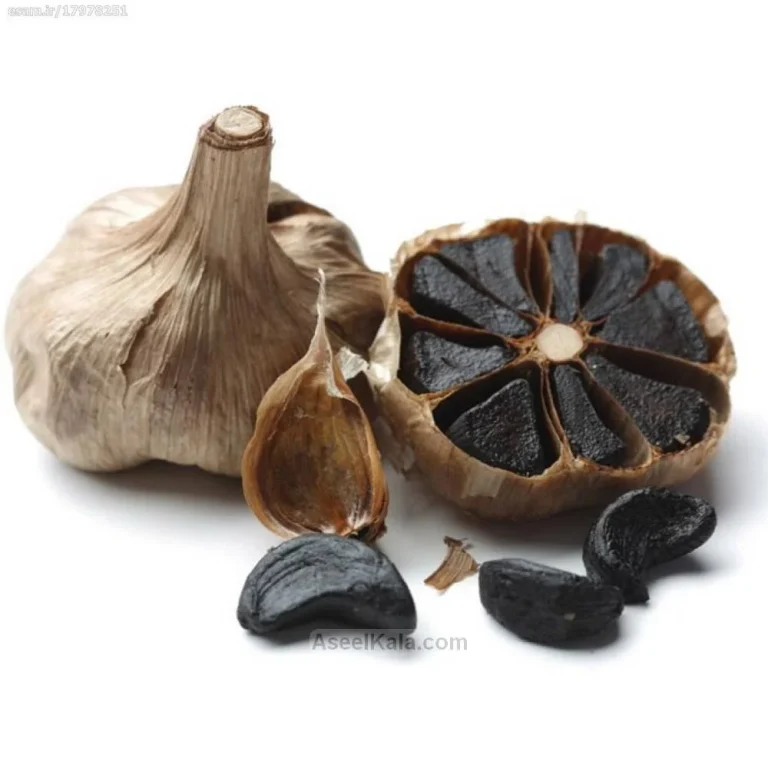 سیر سیاه دکتر بیز شیراز