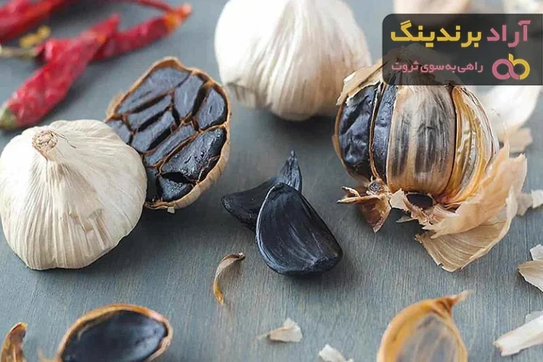 خرید سیر سیاه در رشت؛ راهنمای جامع تشخیص اصل، خواص و بهترین فروشگاه ها