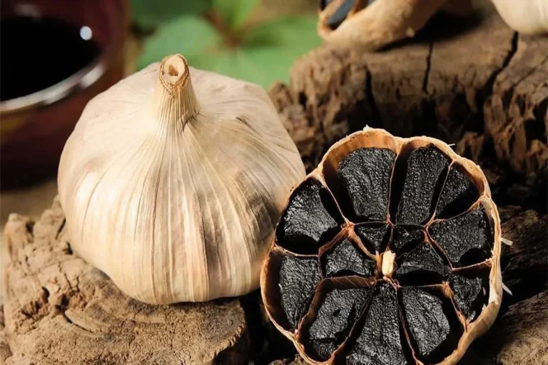 راهنمای جامع روش مصرف سیر سیاه؛ خواص، بهترین زمان و عوارض جانبی