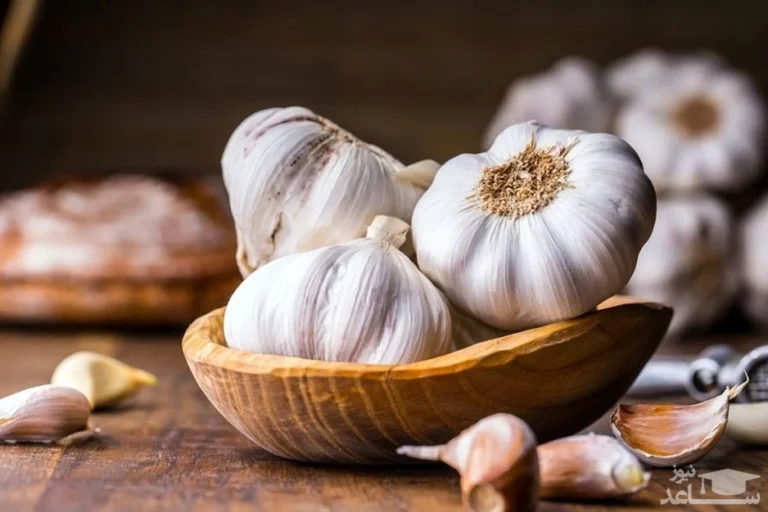 لاغری با سیر سیاه: واقعیت یا افسانه؟ بررسی علمی خواص، روش مصرف و عوارض