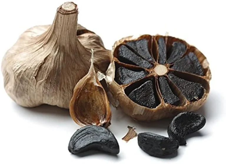تولید سیر سیاه در خانه