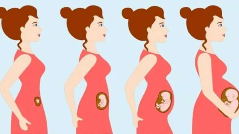چندروزبعدازنزدیکی علائم بارداری مشخص میشود