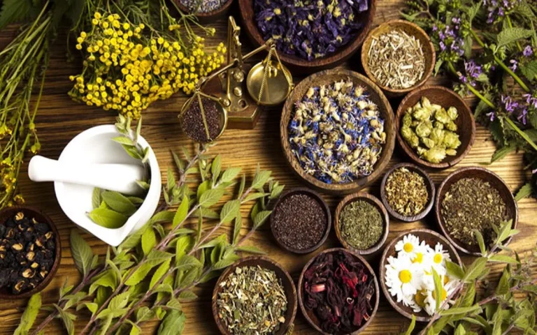 داروی گیاهی برای درمان دل پیچه و اسهال؛ راهنمای جامع و کاربردی