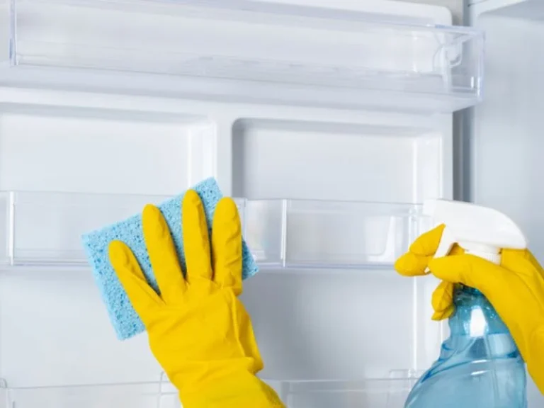 راهنمای جامع و گام به گام تمیز کردن یخچال؛ نکات حرفه ای برای افزایش عمر دستگاه