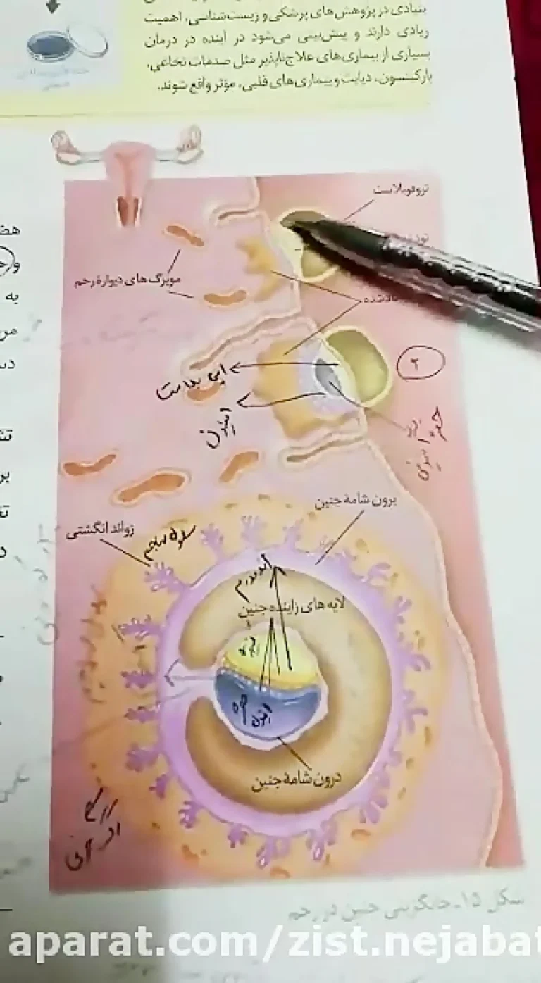 طریقه انانسری