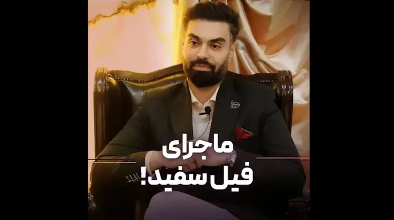 فیل سفید چیست؟ راهنمای جامع غلبه بر بزرگترین چالش های یادگیری و کسب و کار