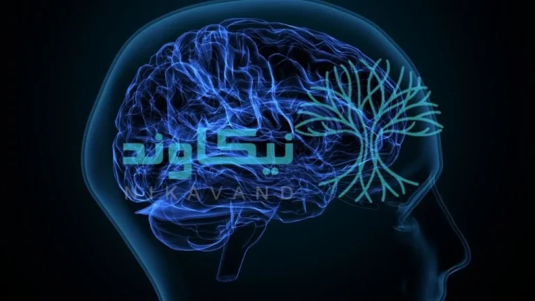مدل ذهنی چیست؟ راهنمای جامع ارتقای تفکر و تصمیم گیری