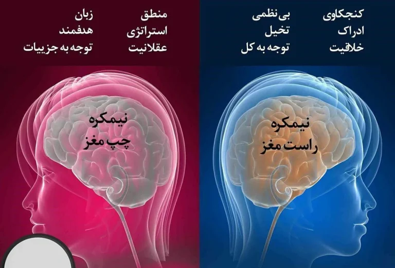 نیمکره چپ مغز