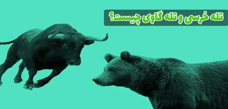 تله خرسی چیست؛ راهنمای جامع شناسایی و جلوگیری از دام نزولی بازار