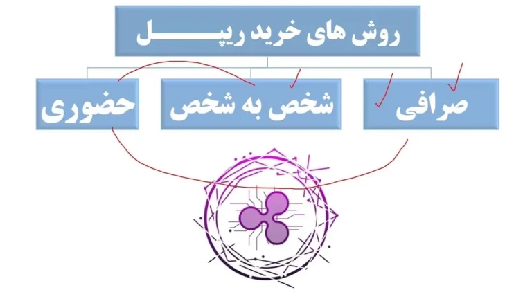 خرید ریپل؛ راهنمای جامع، تحلیل فاندامنتال و پیش بینی قیمت در سال 2026