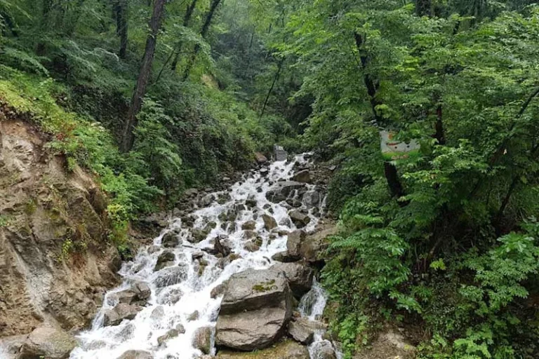 آبشار آب پری رویان؛ راهنمای جامع سفر به نگین جنگل‌های مازندران