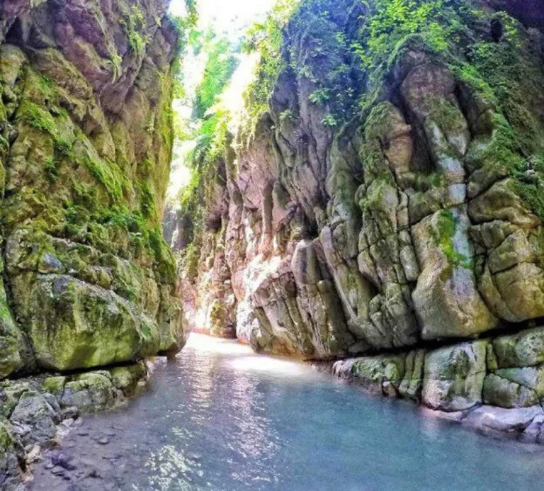 جاهای دیدنی نوشهر