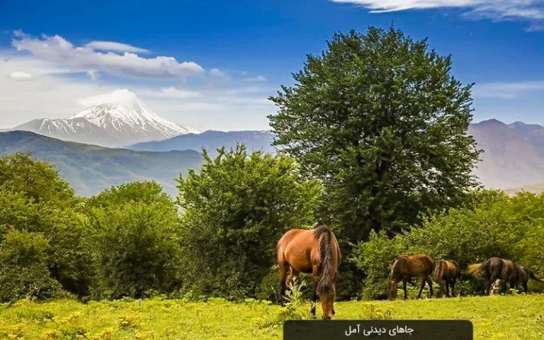 راهنمای جامع جاهای دیدنی آمل؛ ترکیبی از تاریخ کهن و طبیعت بکر (1405)