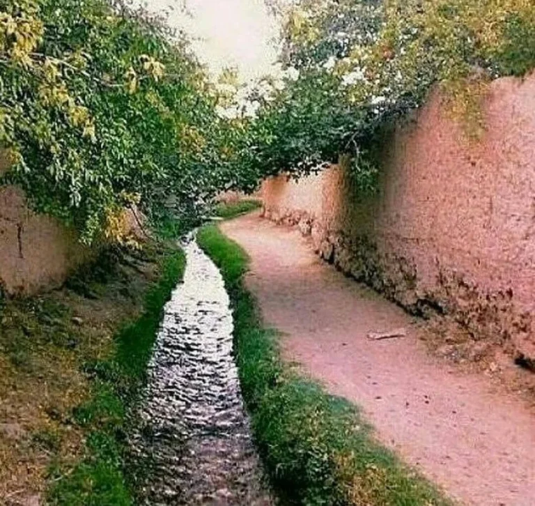 باغ های شیراز