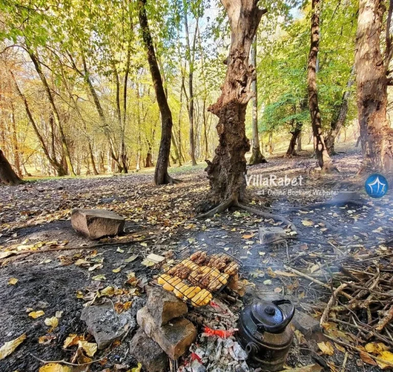 جنگل لفور سوادکوه؛ راهنمای جامع سفر به بهشت هیرکانی مازندران (1405)