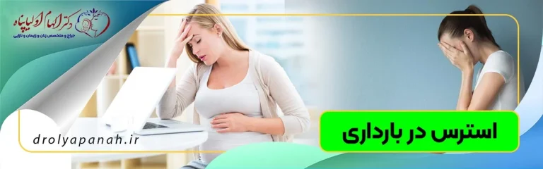 اپکس و استرس پوینت ناخن چیست؟ راهنمای جامع تشخیص و موادگذاری اصولی