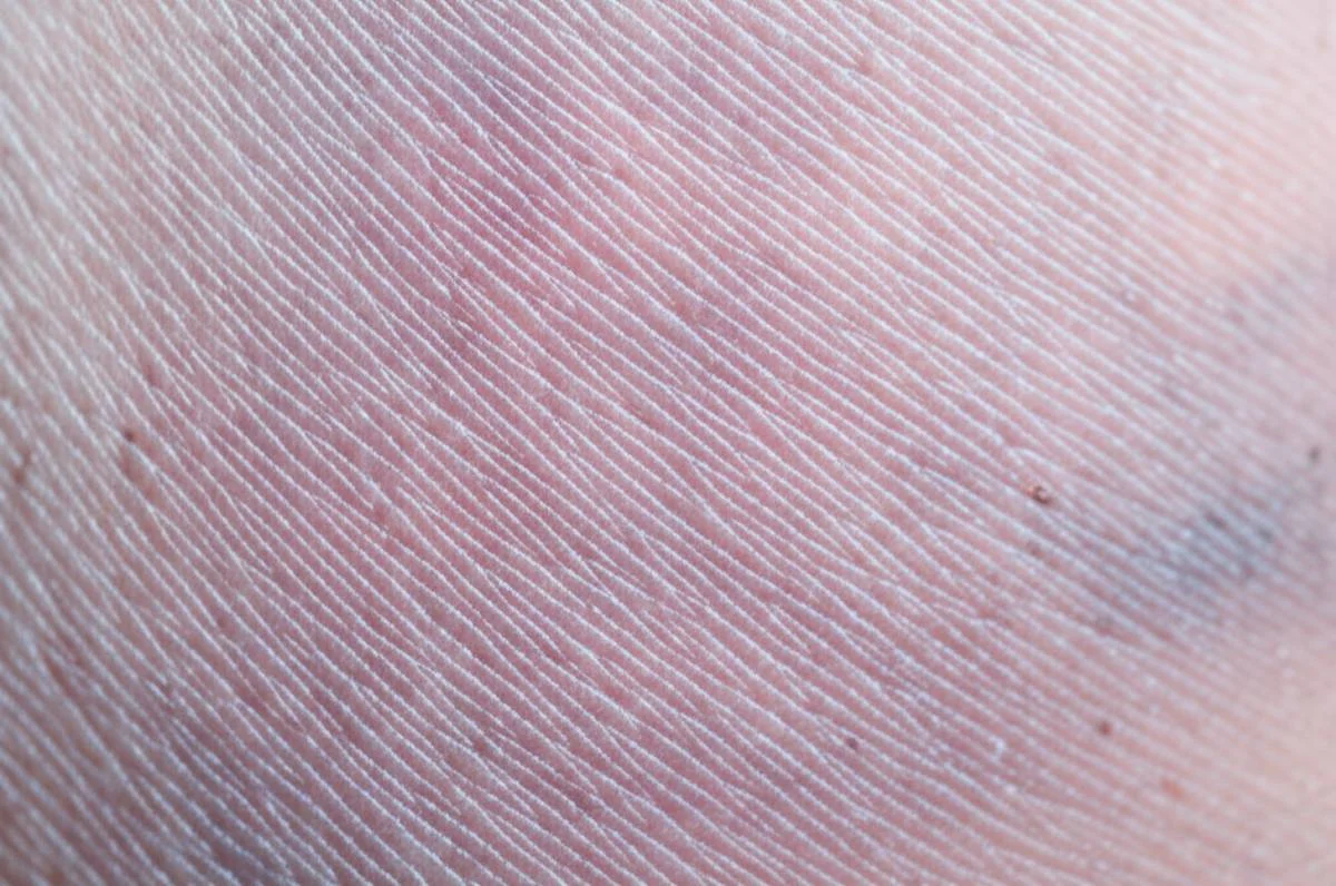 abcmag.ir-167890453212