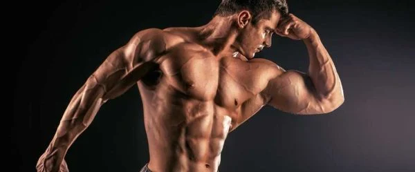 تائورین چگونه باعث کاهش خستگی عضلانی می&zwnj;شود؟