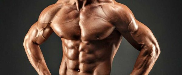 بررسی بهترین برندهای تائورین مناسب ورزشکاران