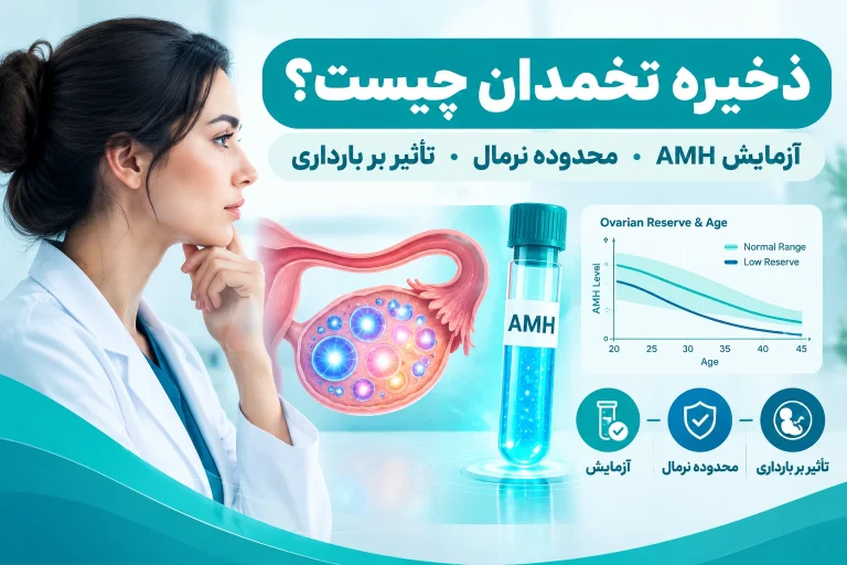 ذخیره تخمدان چیست؟ آزمایش، محدوده نرمال، کاهش ذخیره و تأثیر آن بر بارداری